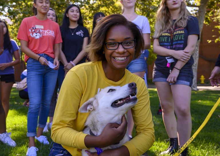 Animal Shelter Management Certificate | University of the Pacific
